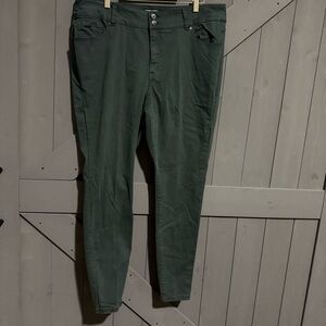 Lane Bryant Women's Green High Rise Skinny Pants Button & Zip Closure